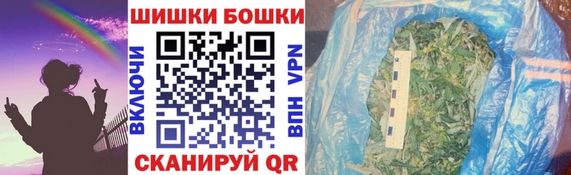 ГАШ Пыталово